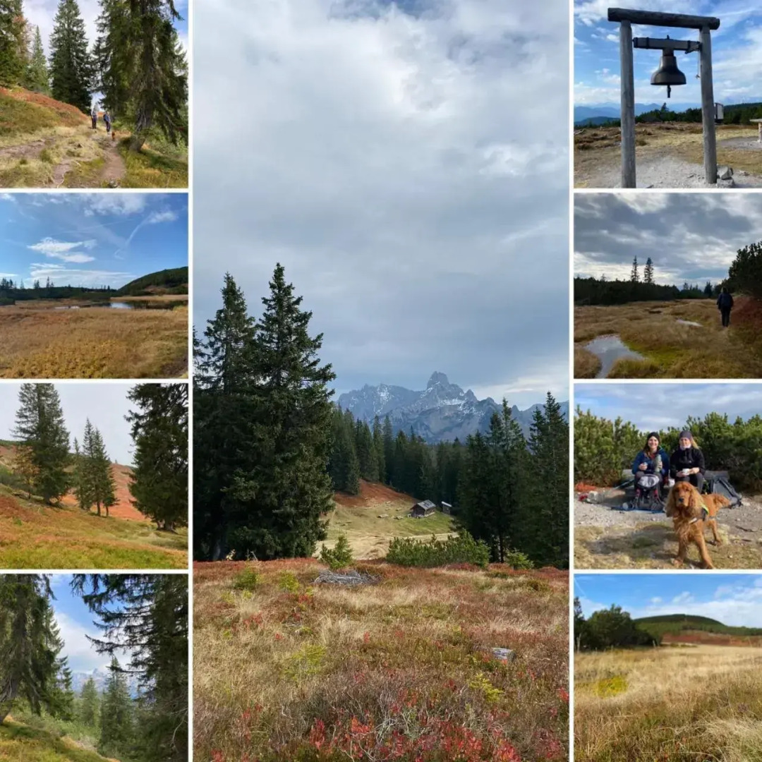 Ferienwohnung Müller