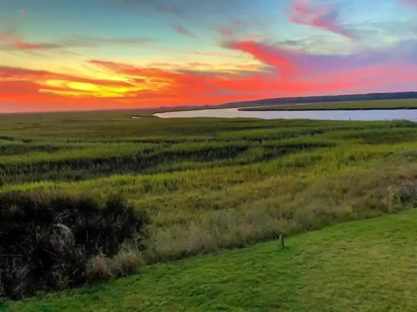 Charleston-style Row House Featured on Hgtv w/ Wifi & Creek Views