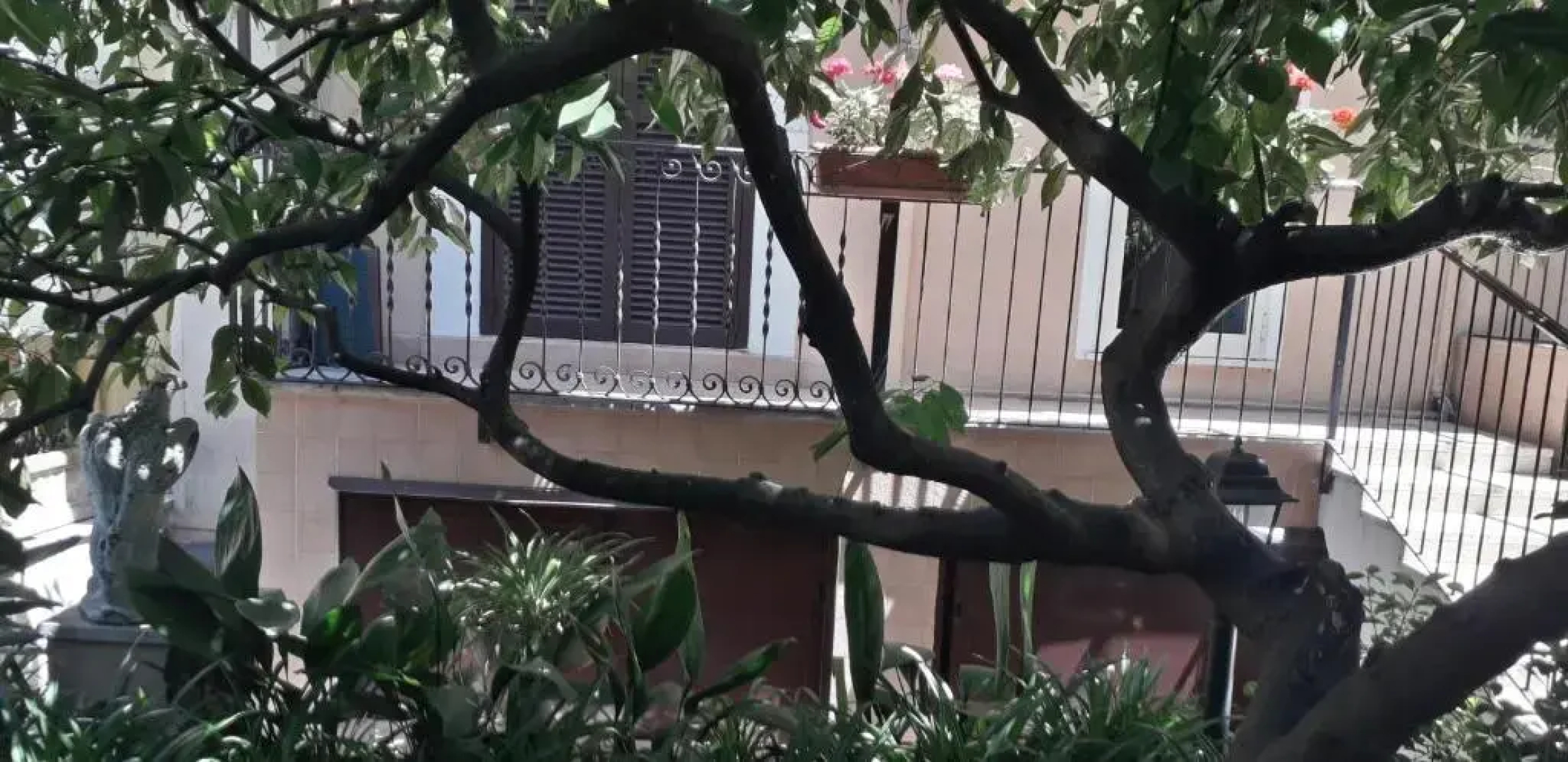 Gioia Bed and Breakfast