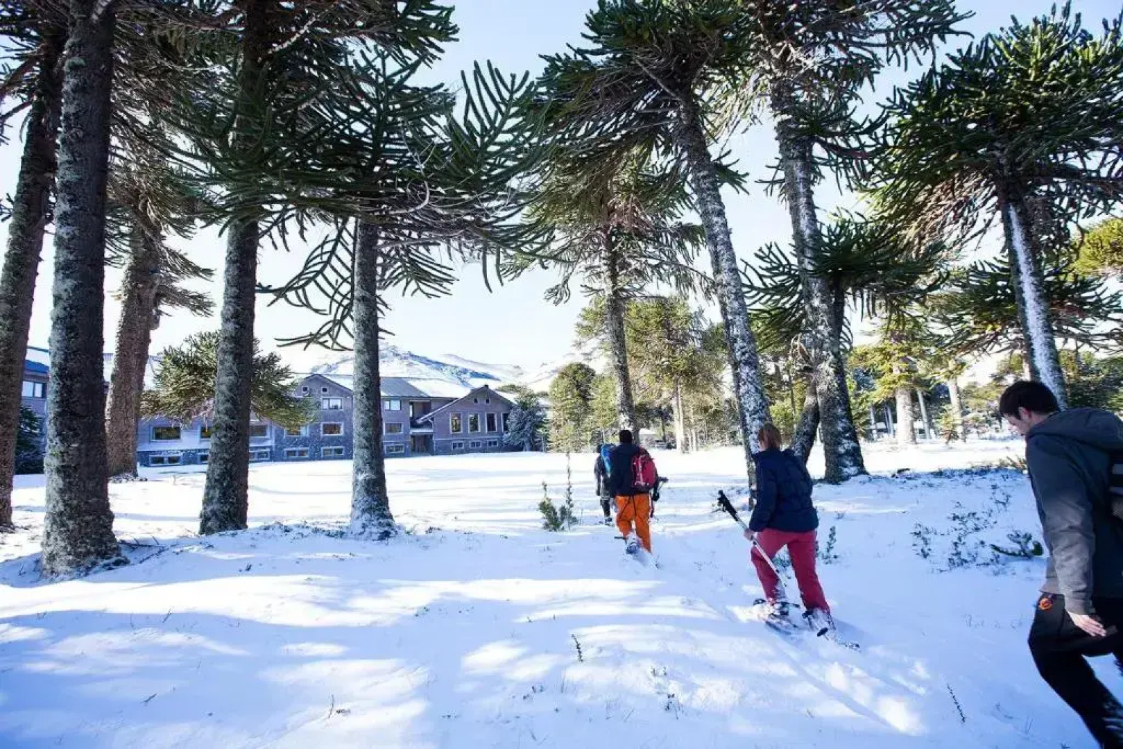 Corralco Resort de Montaña