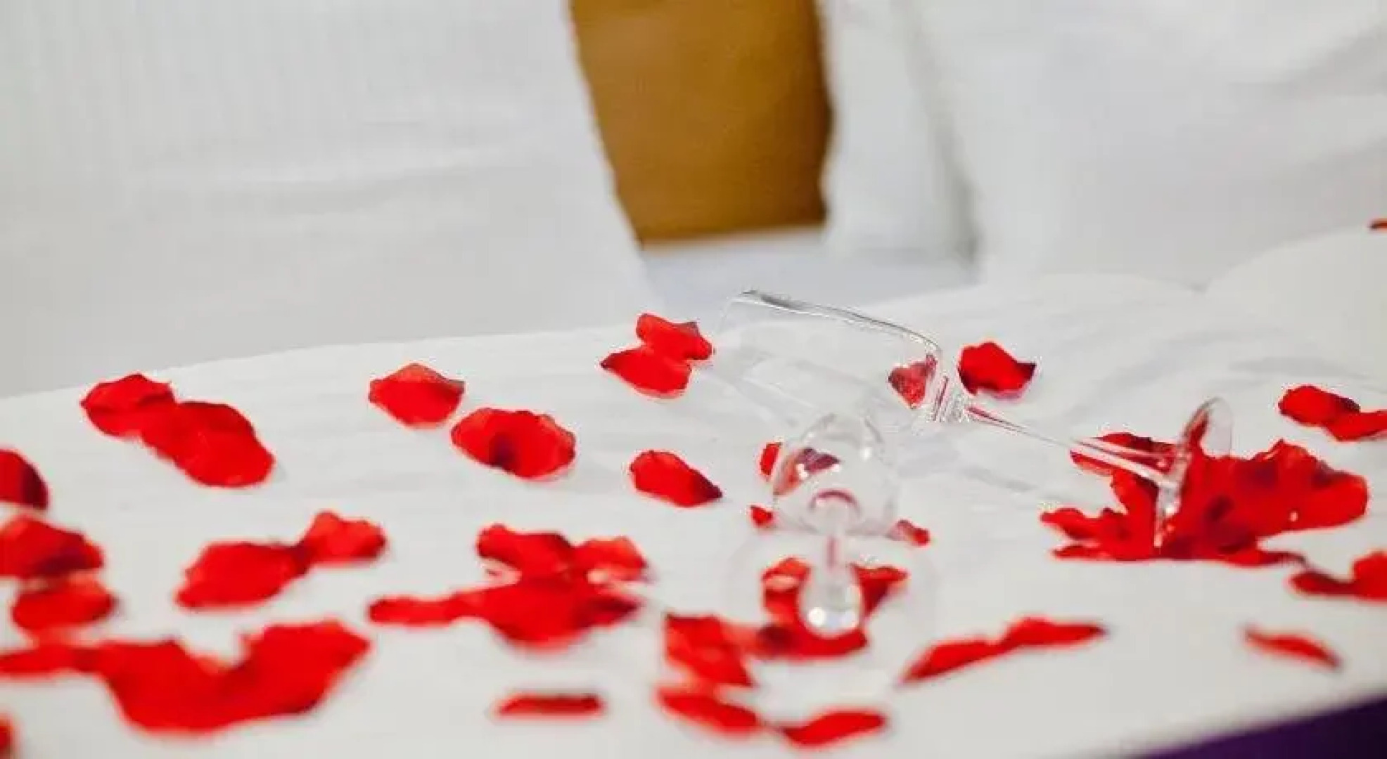 Hotel Austeria Niemczańska