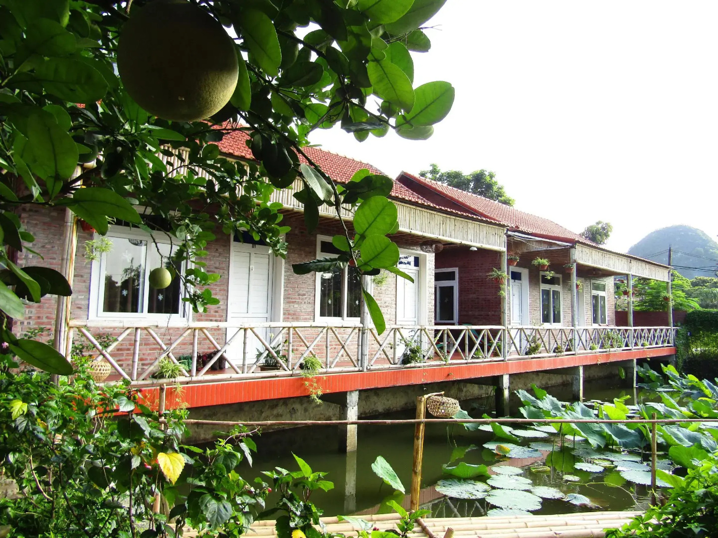 Ninh Binh Mountain Side Homestay & Cafe