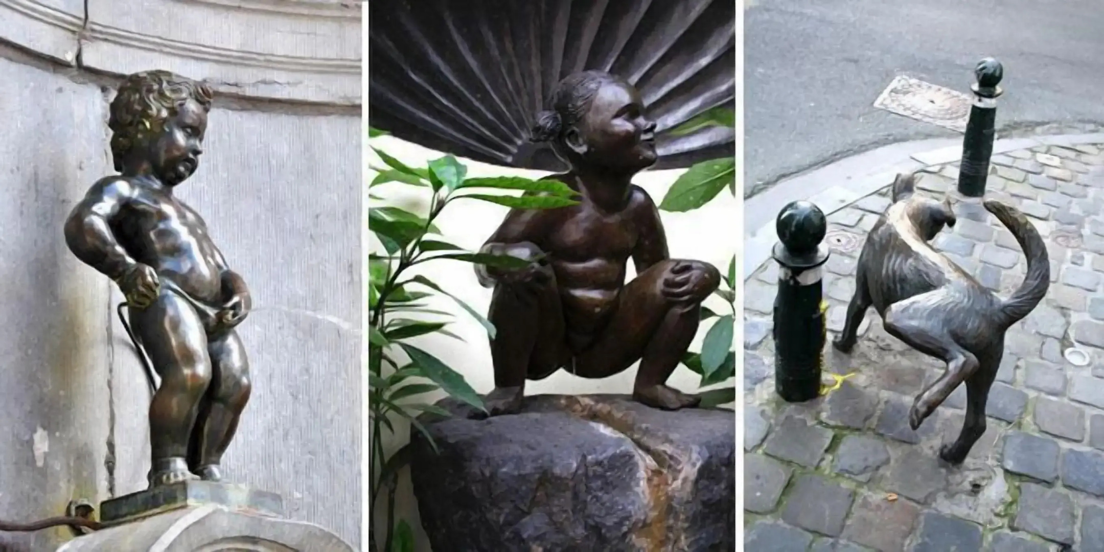 Residence la Fraisiere