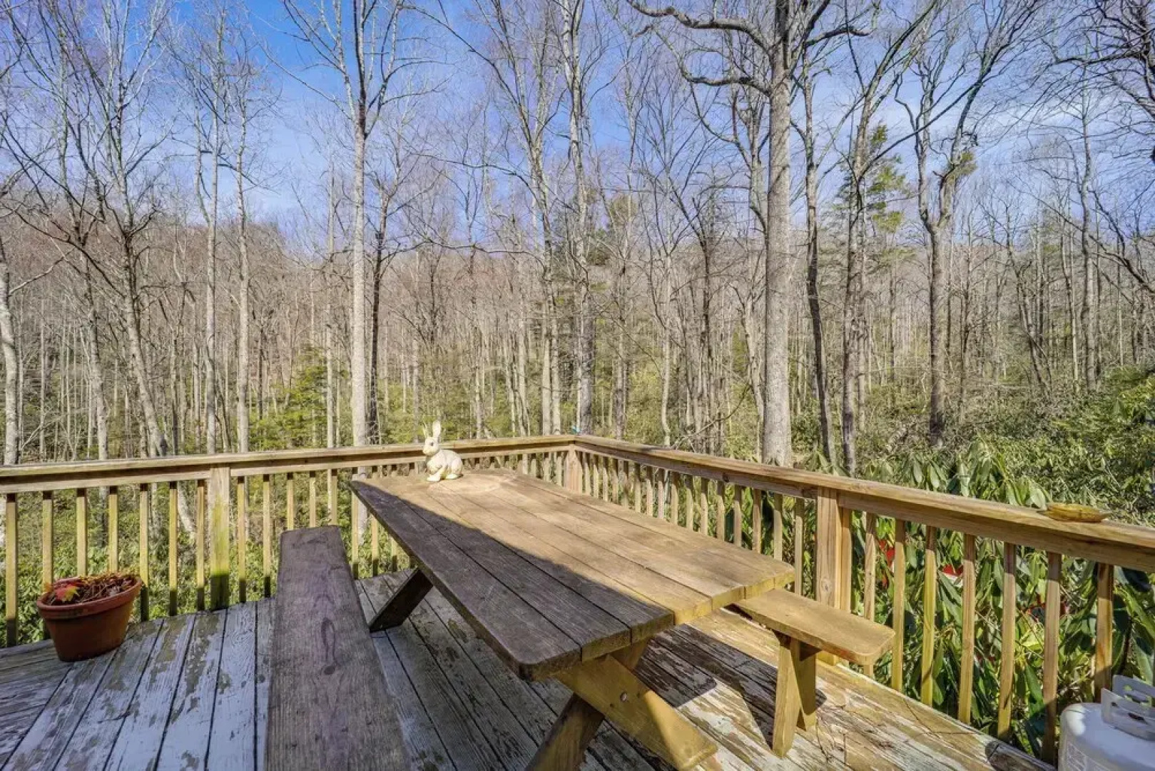 Private Blue Ridge Retreat: Hot Tub & Pool Table!