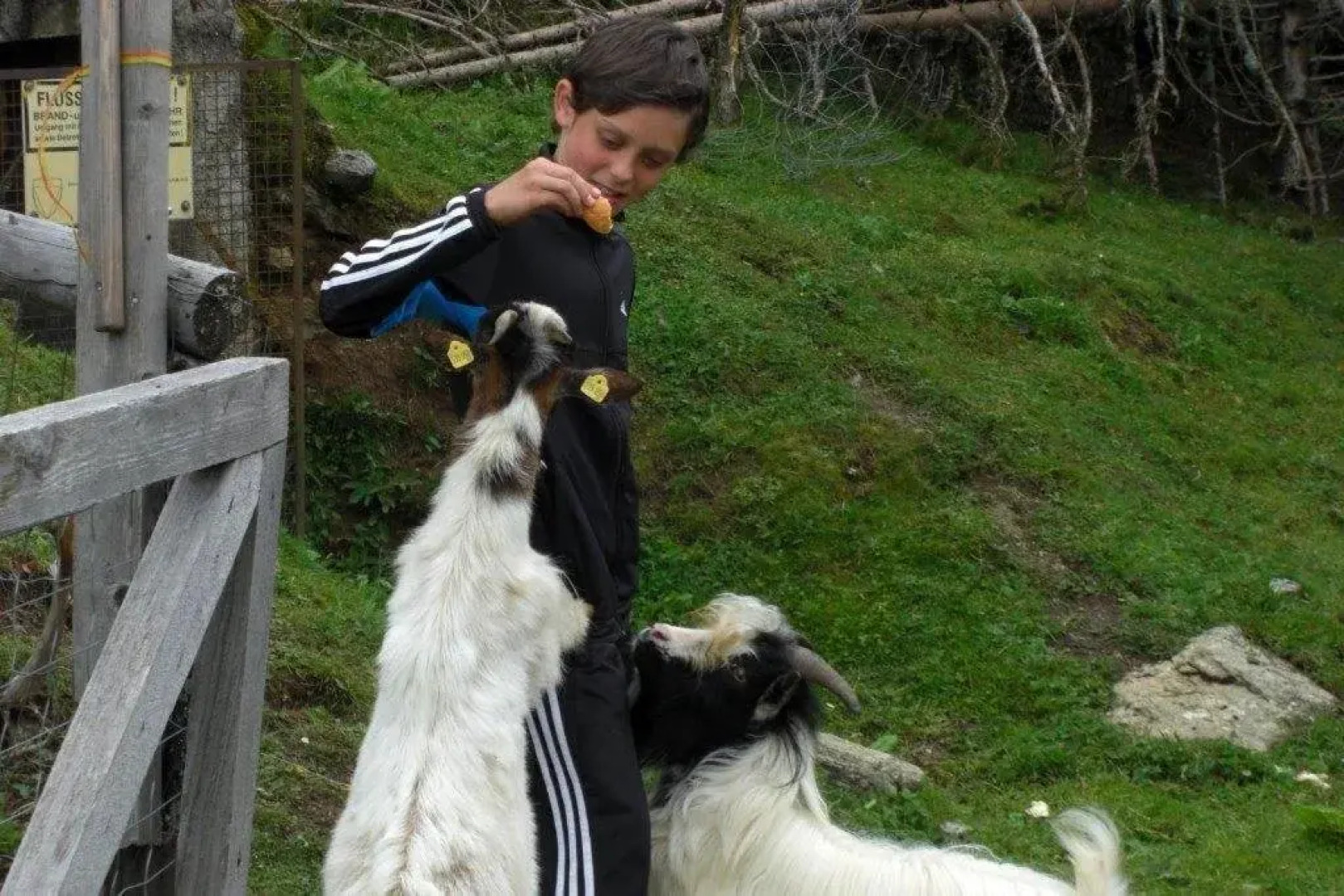 Alpengasthof Salzstiegelhaus