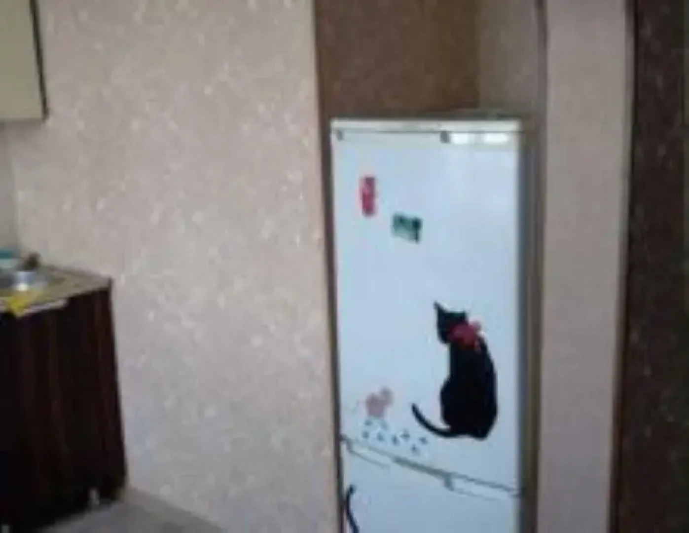 Апартаменты на улице Карла Маркса