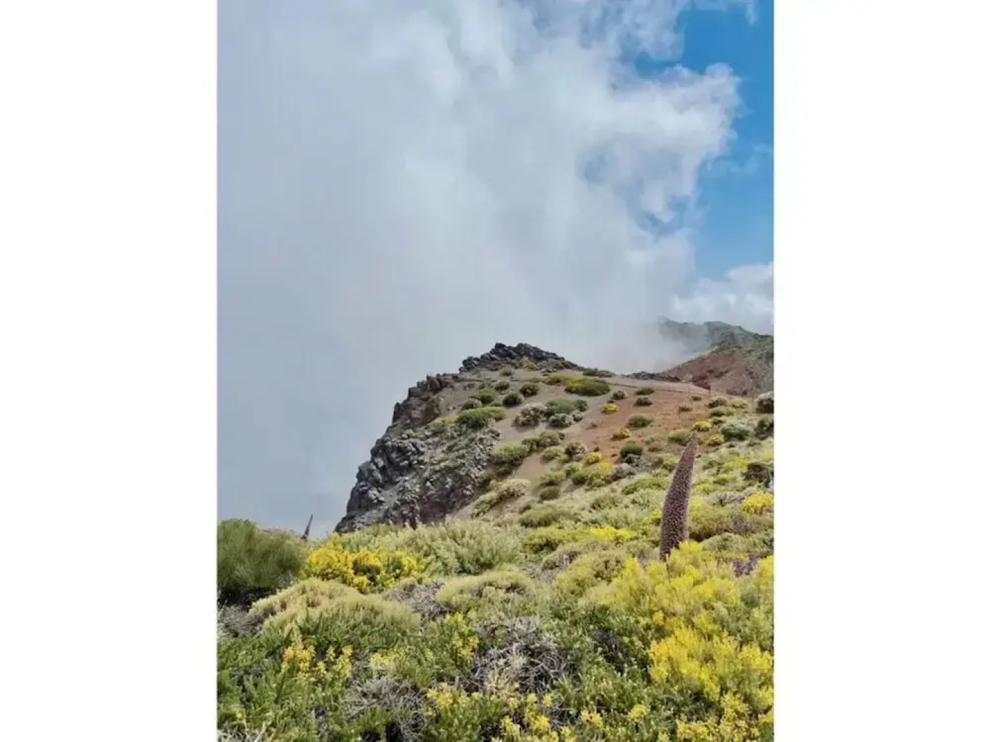 Apartment in La Punta de Tijarafe