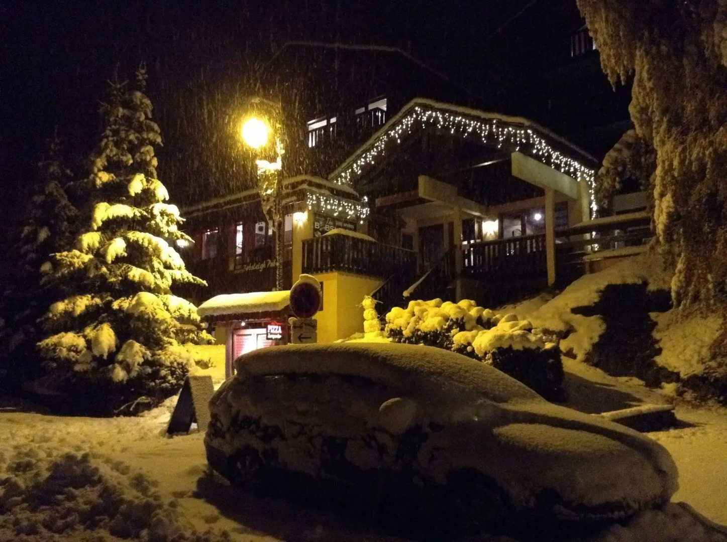 Chalet Hotel Rhododendrons