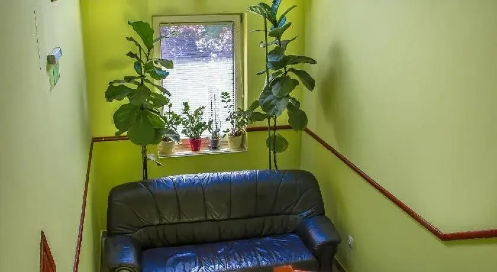 Nexus Apartman Szeged