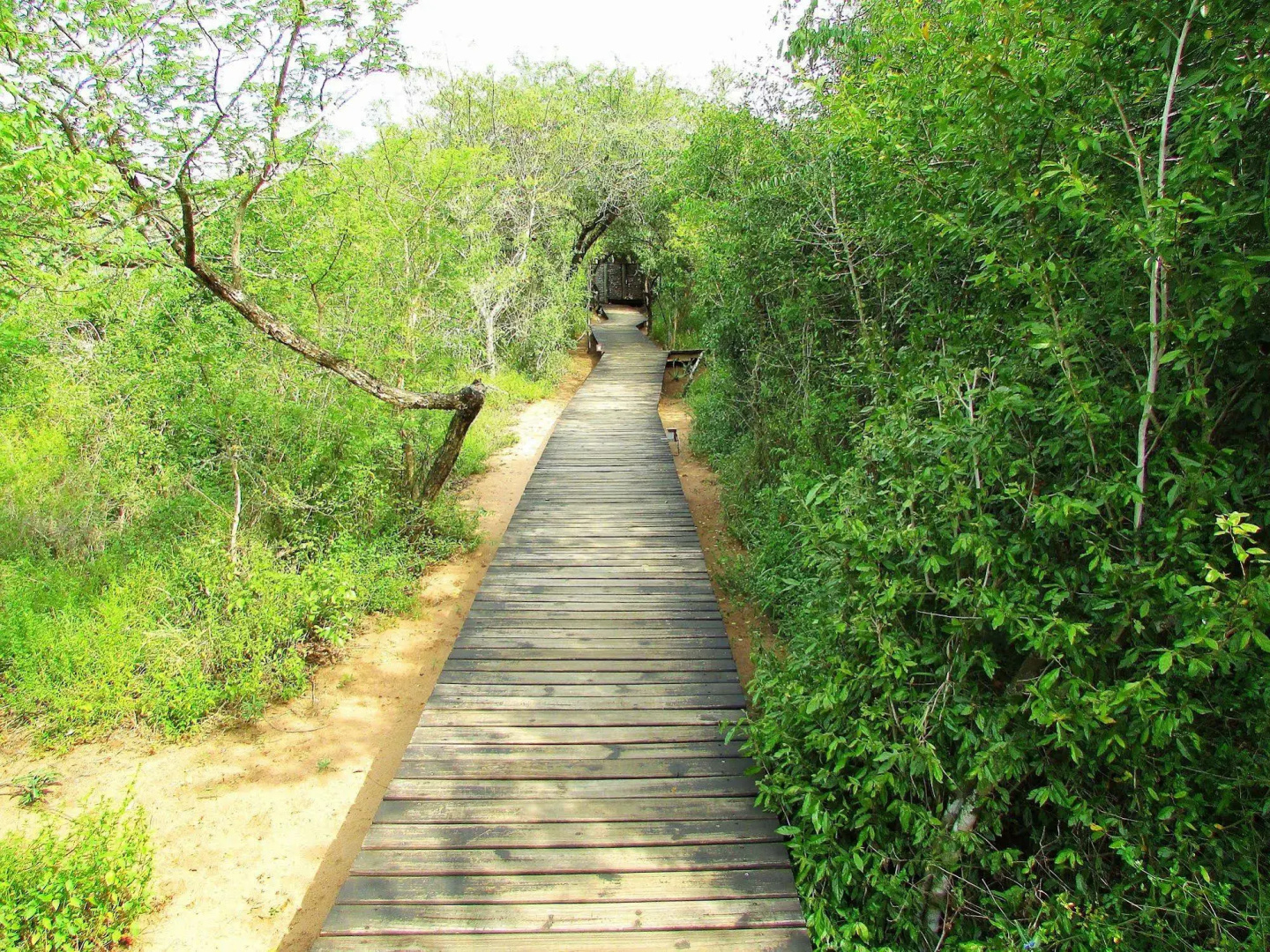 Royal Thonga Safari Lodge