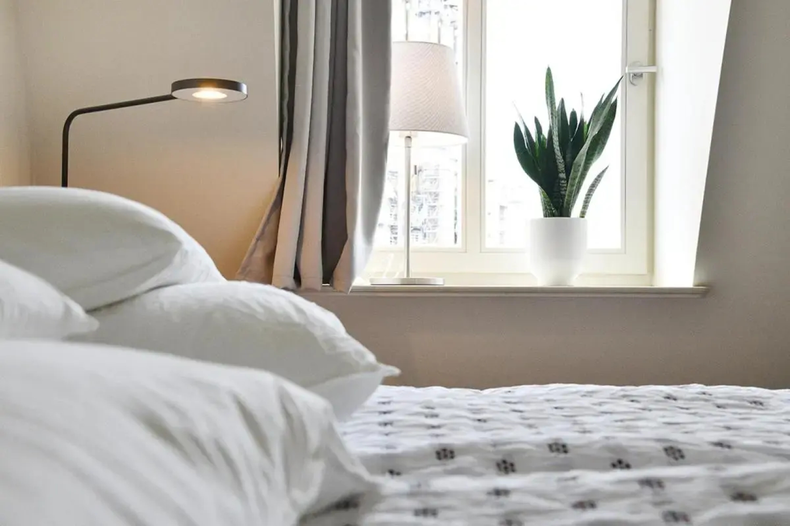 JETHON Exklusives City-Appartement Bernburg