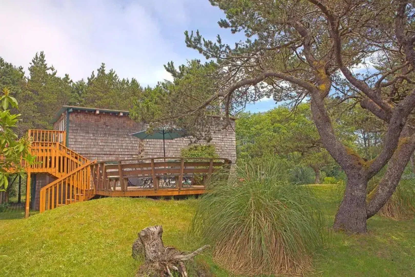 Dragonfly Cabin Westport Wonderful