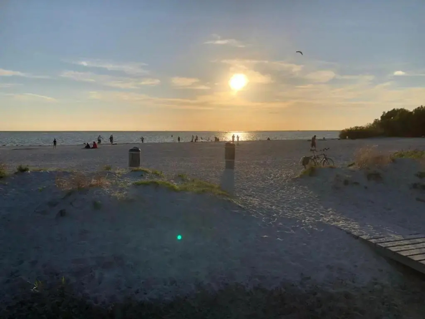 Tiny house op wielen Friesland