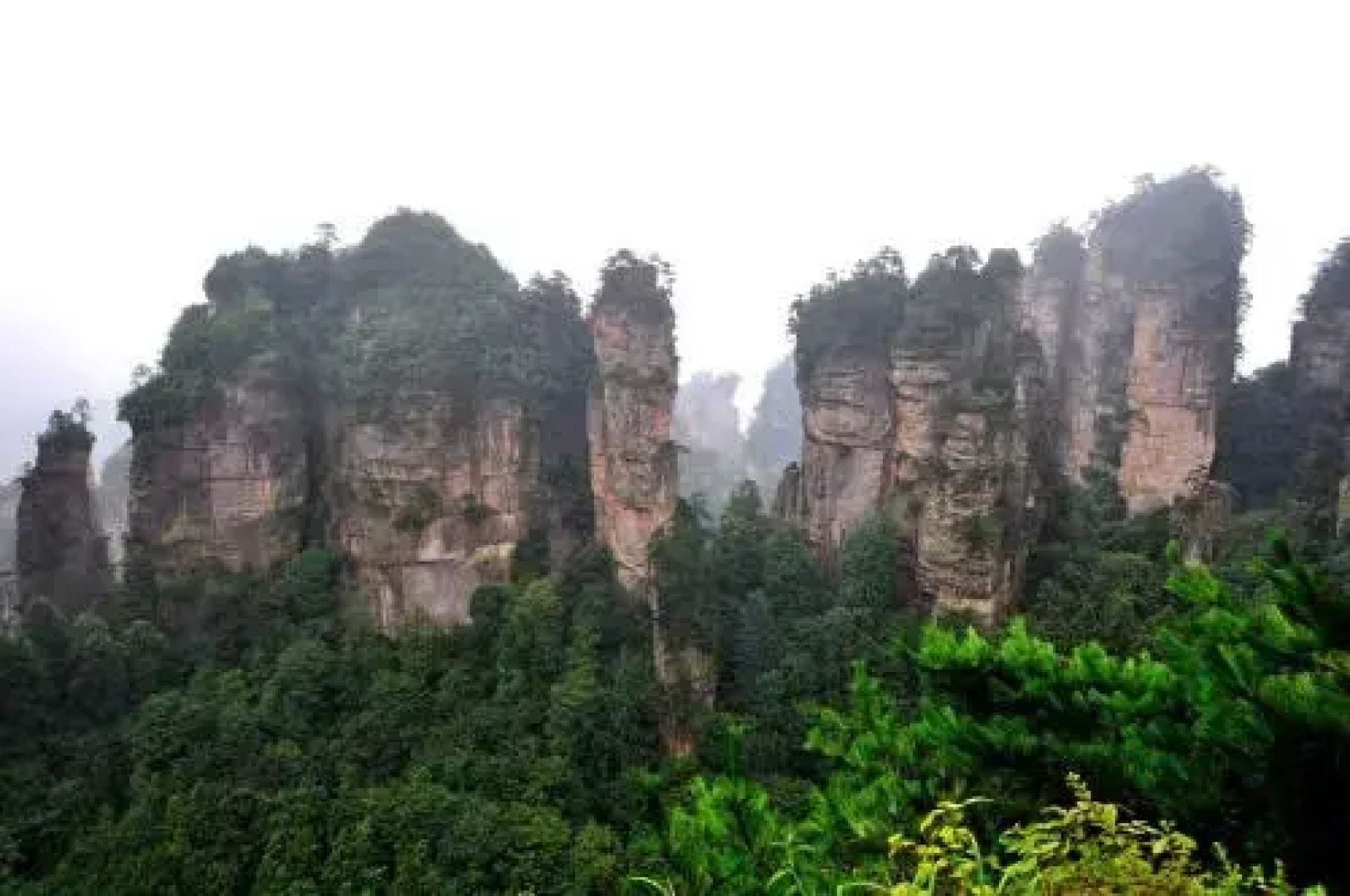 Zhangjiajie Forest Park Qinyuan Hotel