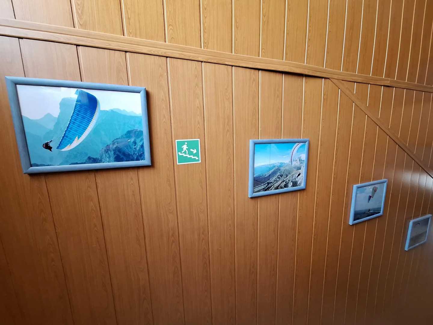 Лесная жемчужина