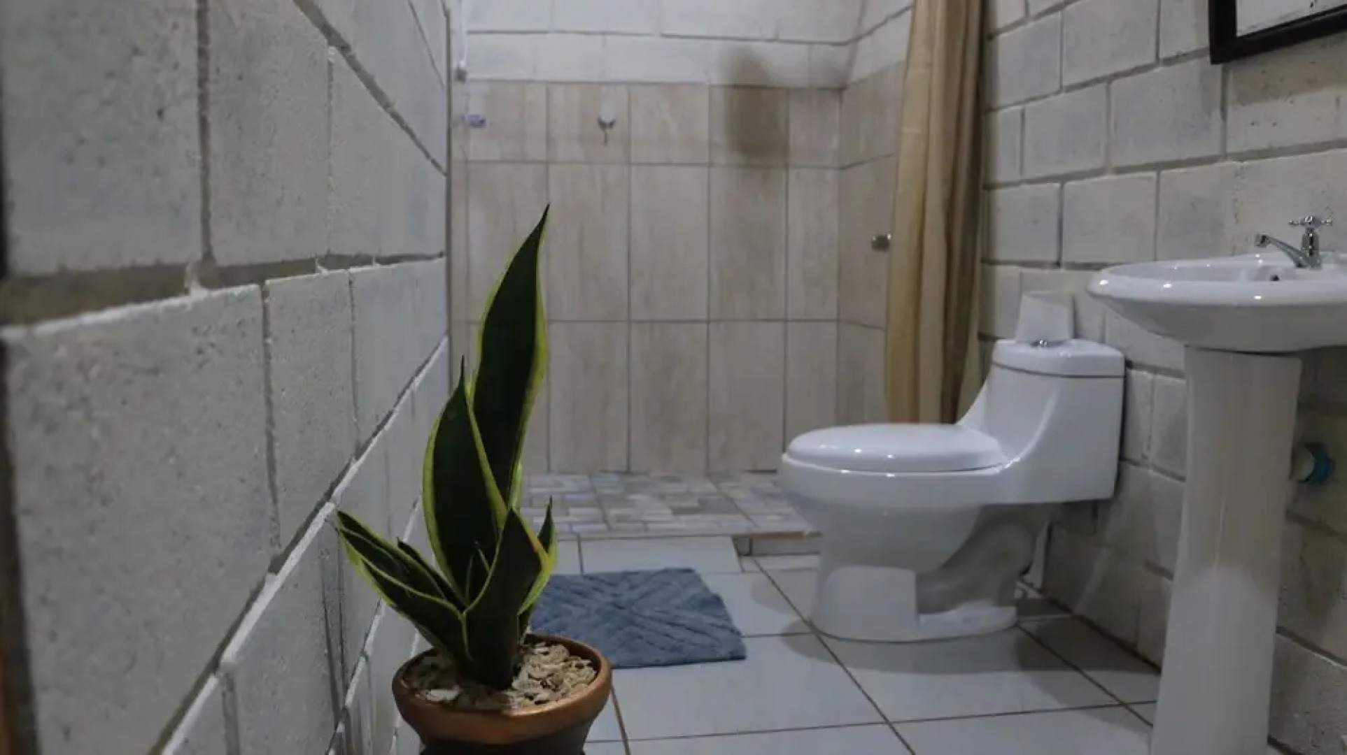 Eden Organic Farm & Bungalows