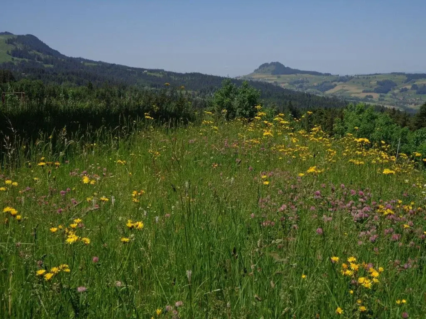 Berggasthof Gurnigelbad