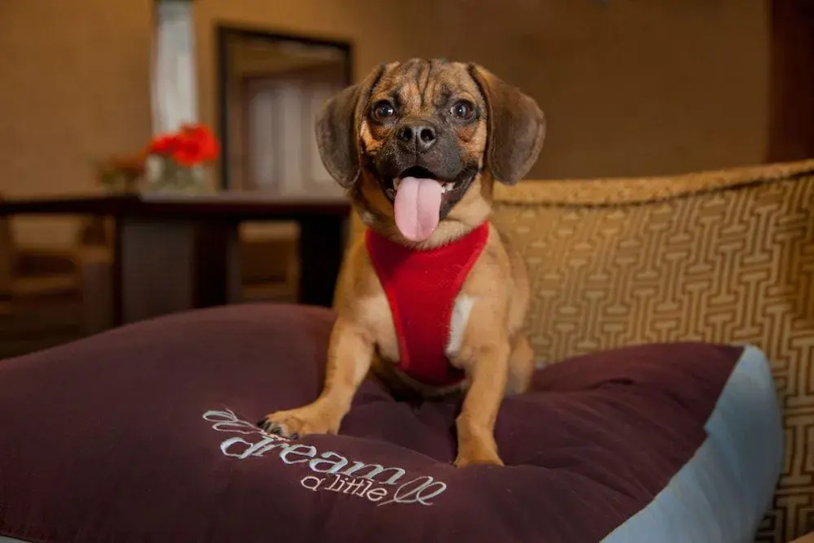 Sheraton Louisville Riverside Hotel