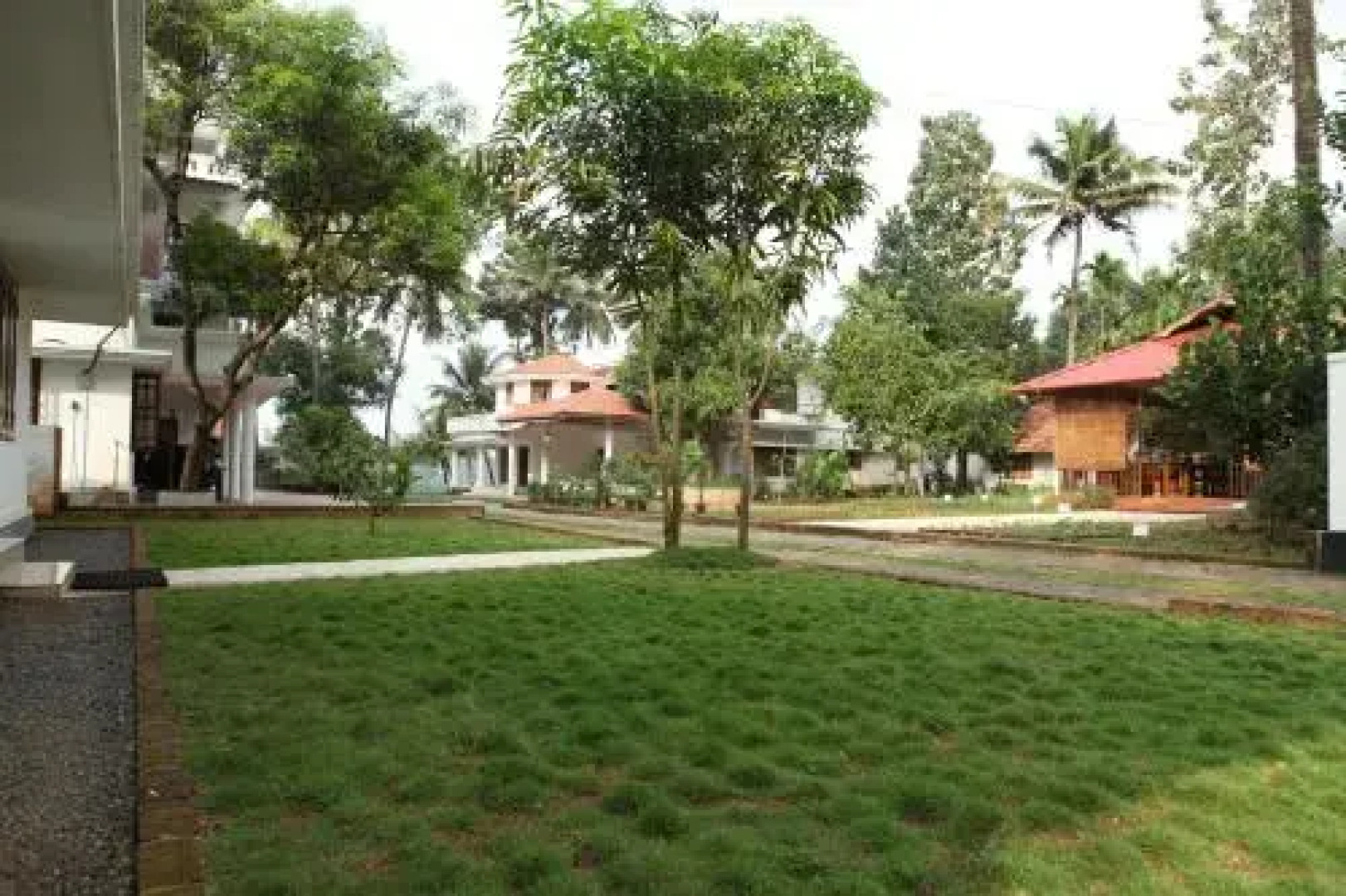 The Health Village