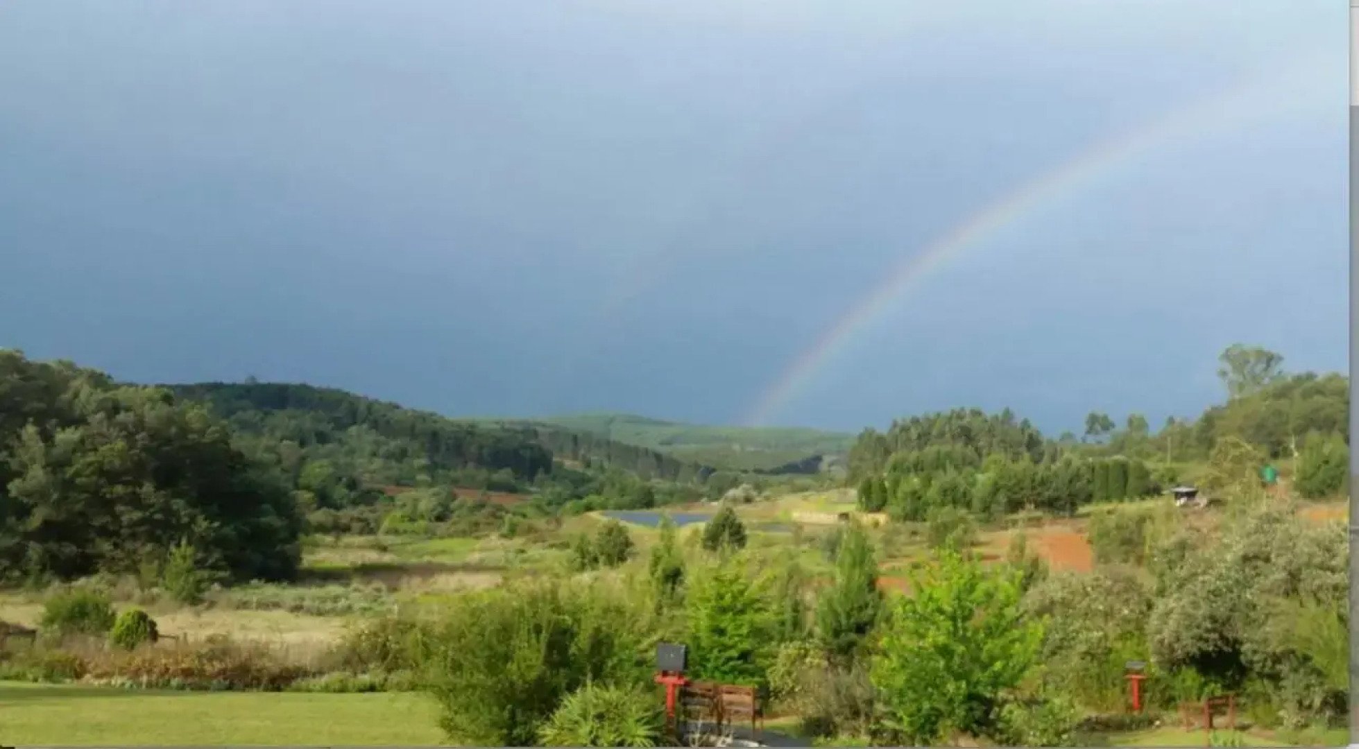 Woodcutters Guest House & Cottage