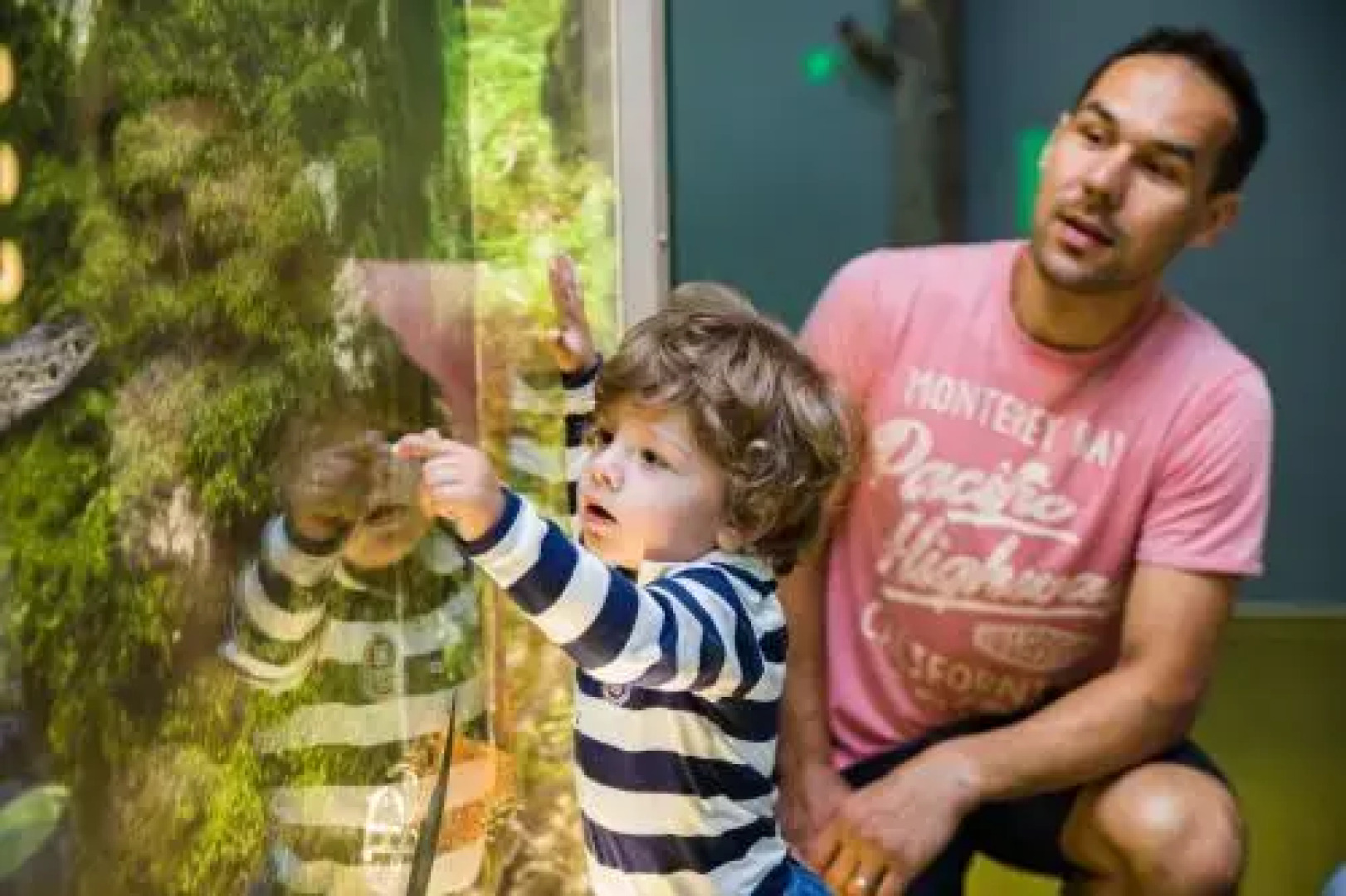 Penzion - Apartments WENDY