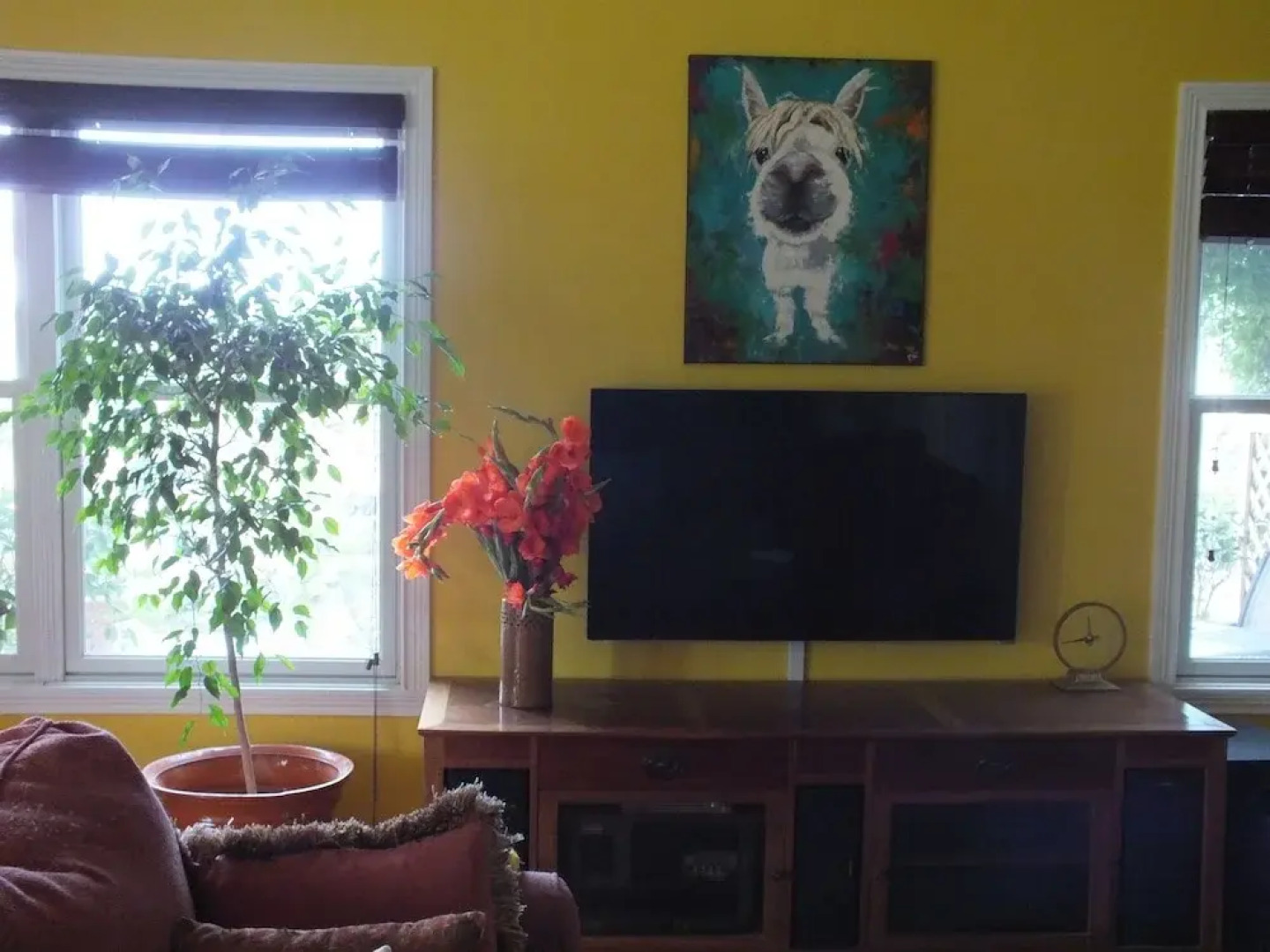 Montrose Farms Alpaca Ranch