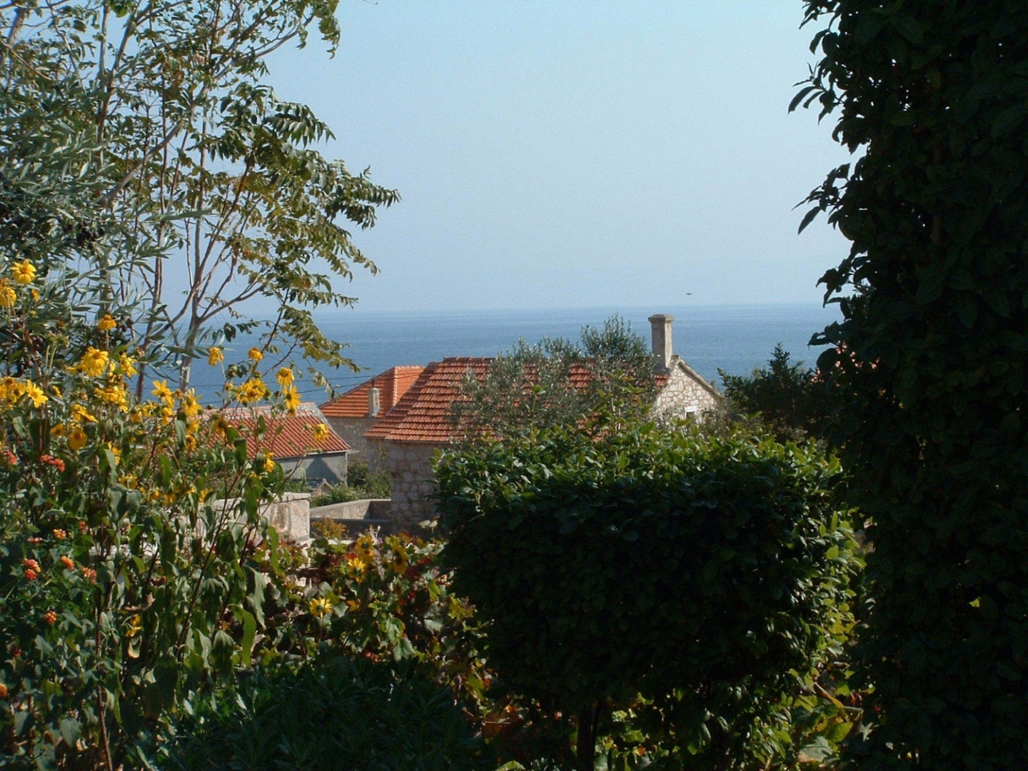 Apartment Mate 1 - 130 m from sea: A1 Zeleni Bol, Island Brac