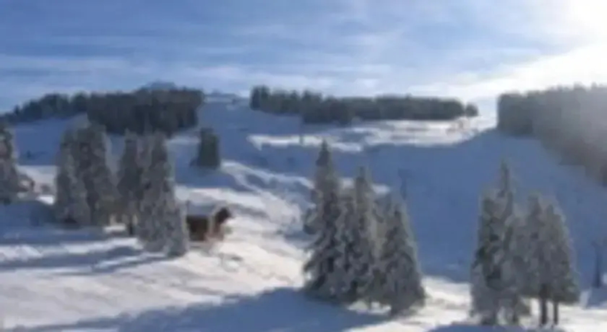 Appartement Edelweiss