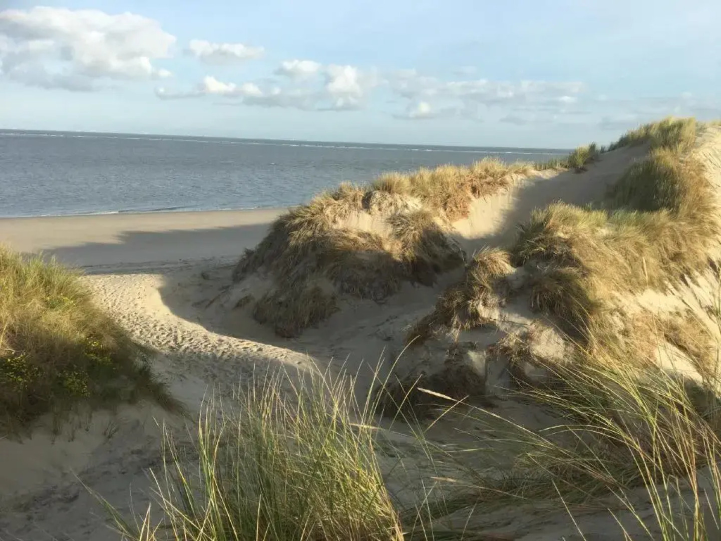 Bungalow Jonkerstee 81 - Ouddorp near the beach with big garden - not for companies