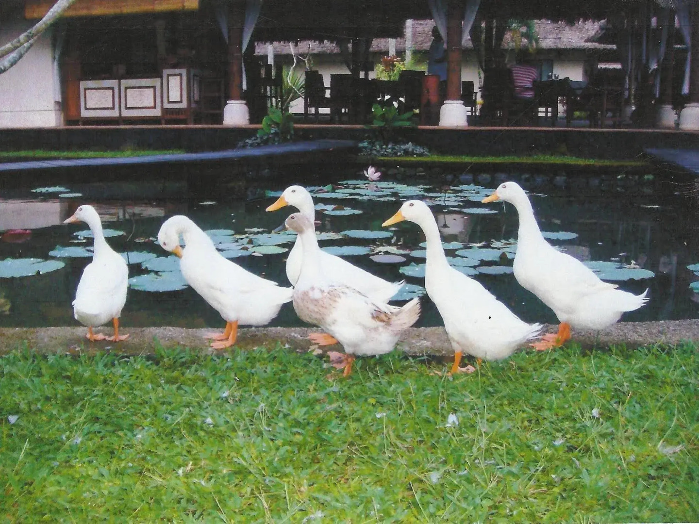 Villa Taman di Blayu
