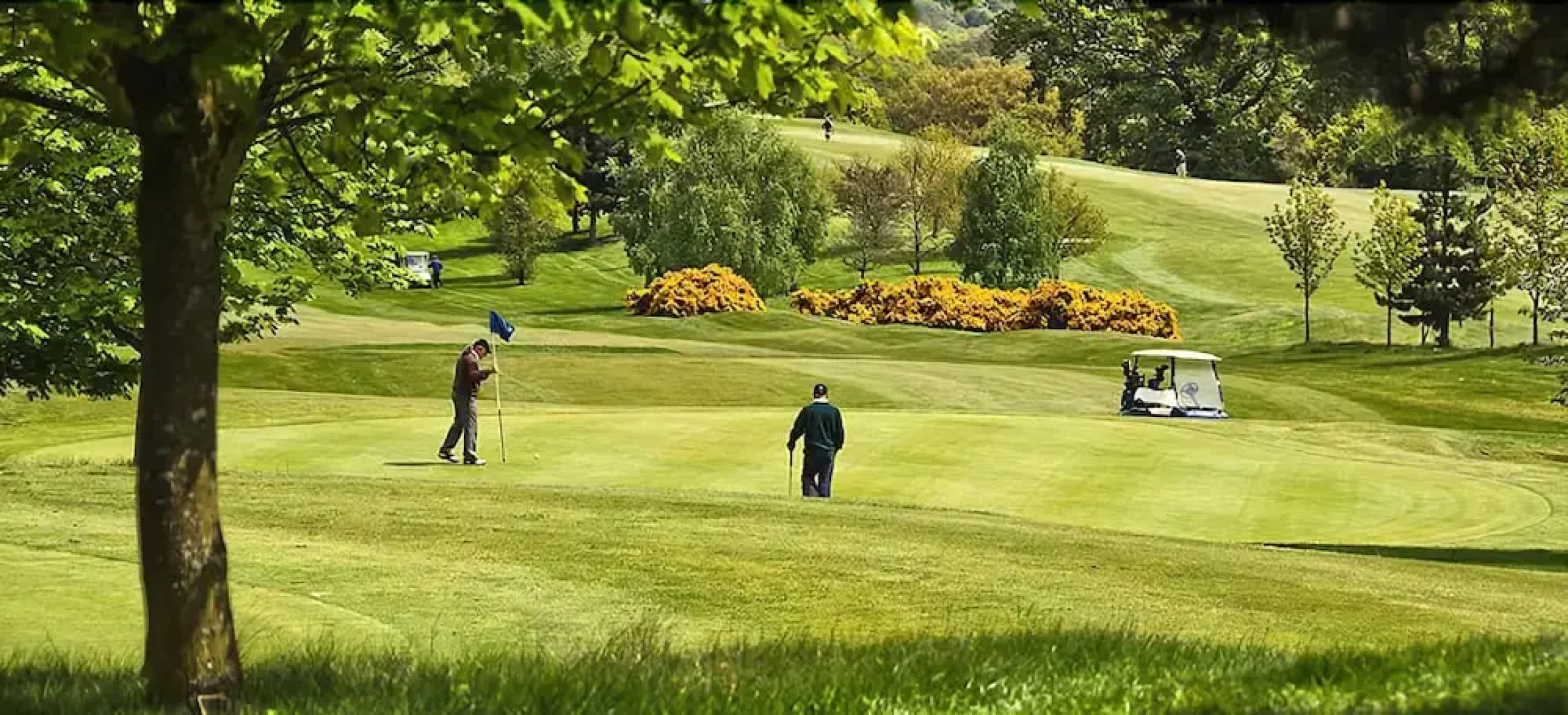 Wharton Park Golf & Country Club