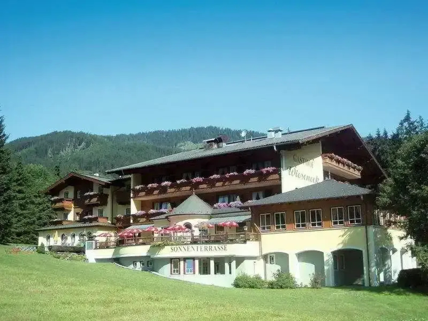 Wieseneck