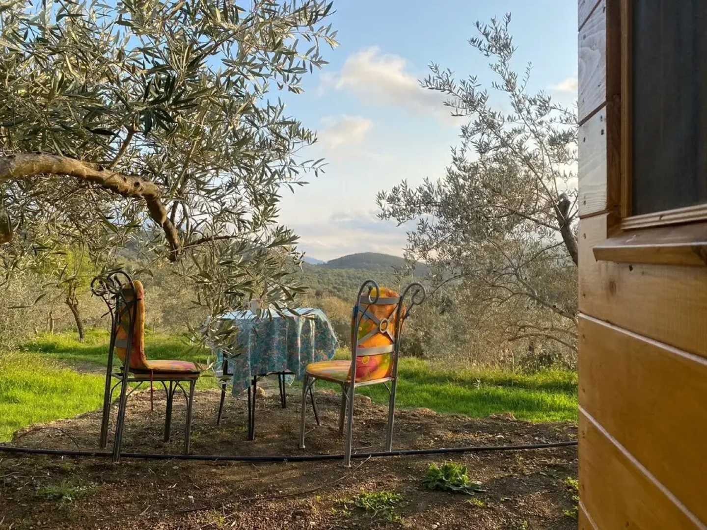 Armonia Alpujarra