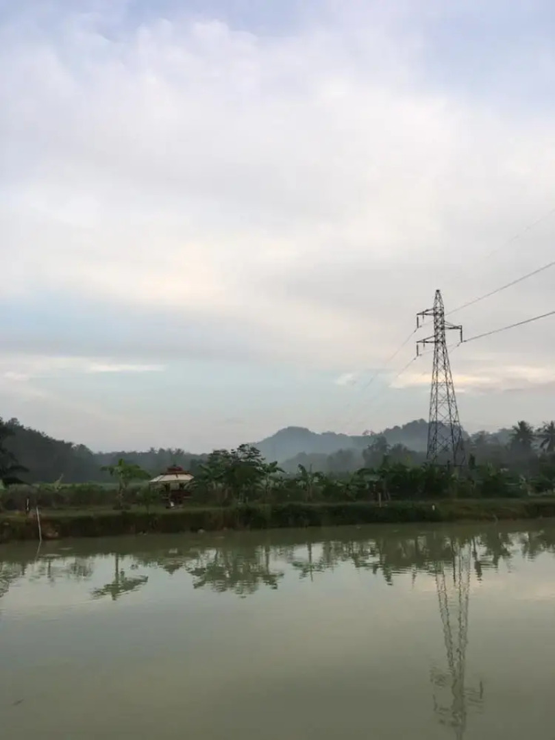 Wichuda Fishing Park & Homestay