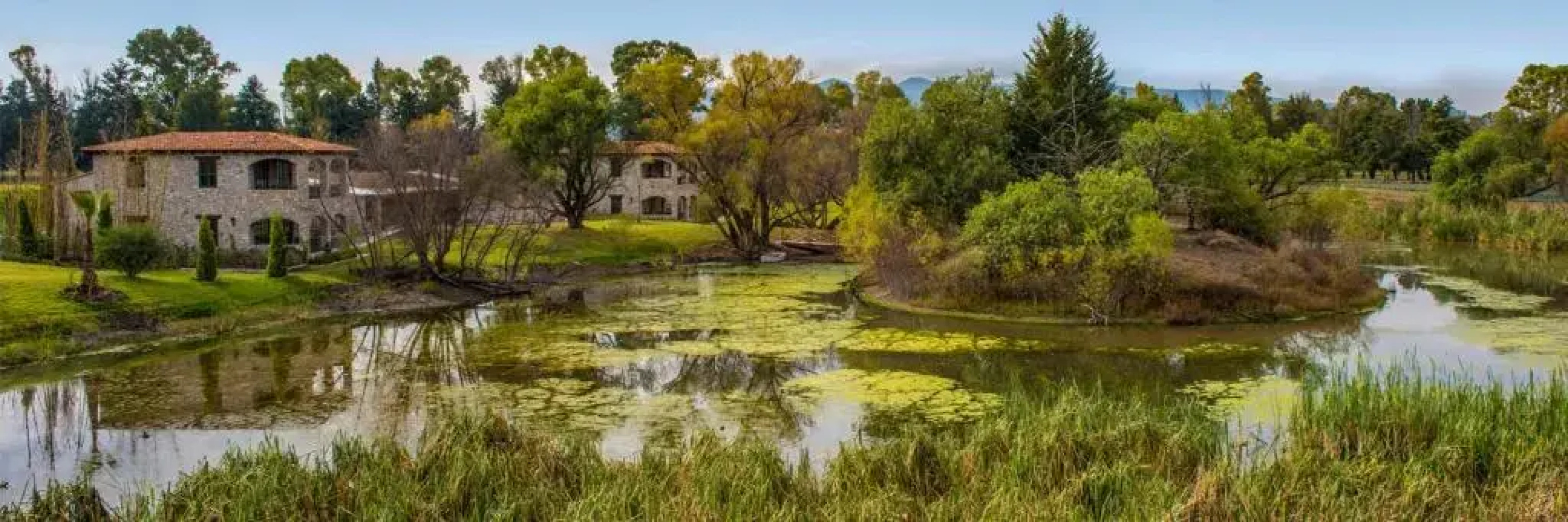 Hotel Viñedos San Lucas
