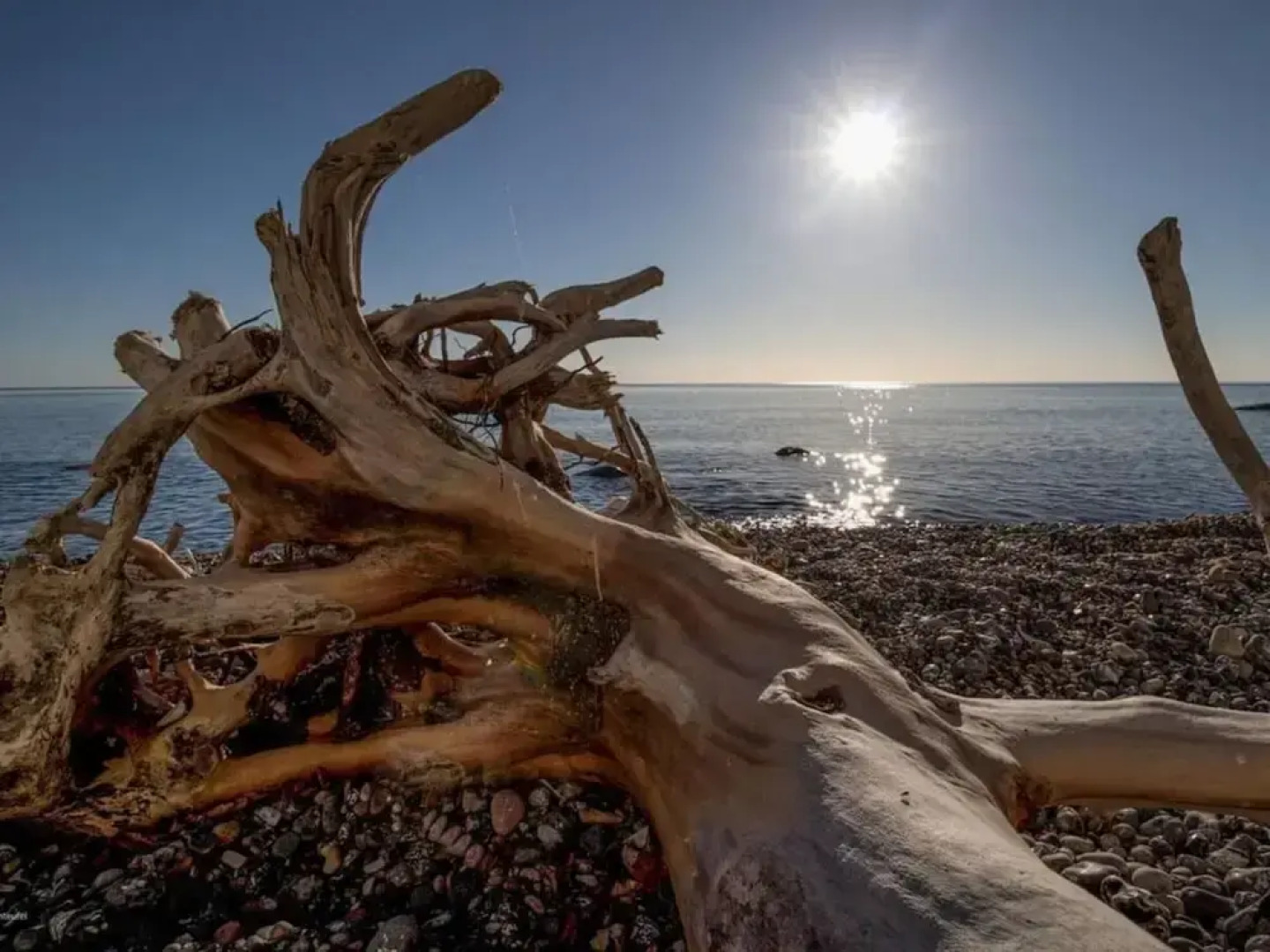 Uitzicht op de Kraanvogel