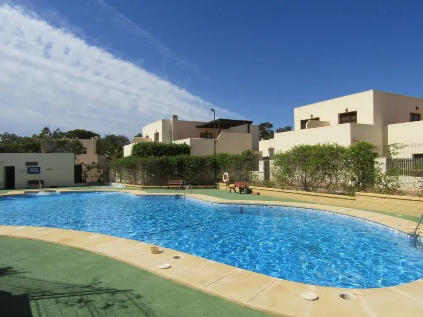 Caballo de Mar Frison