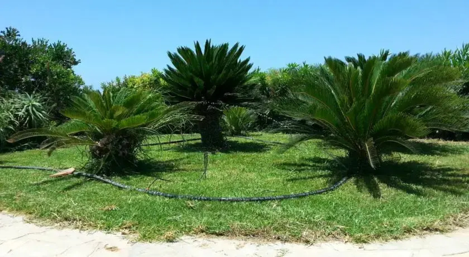 Villa Lara 1
