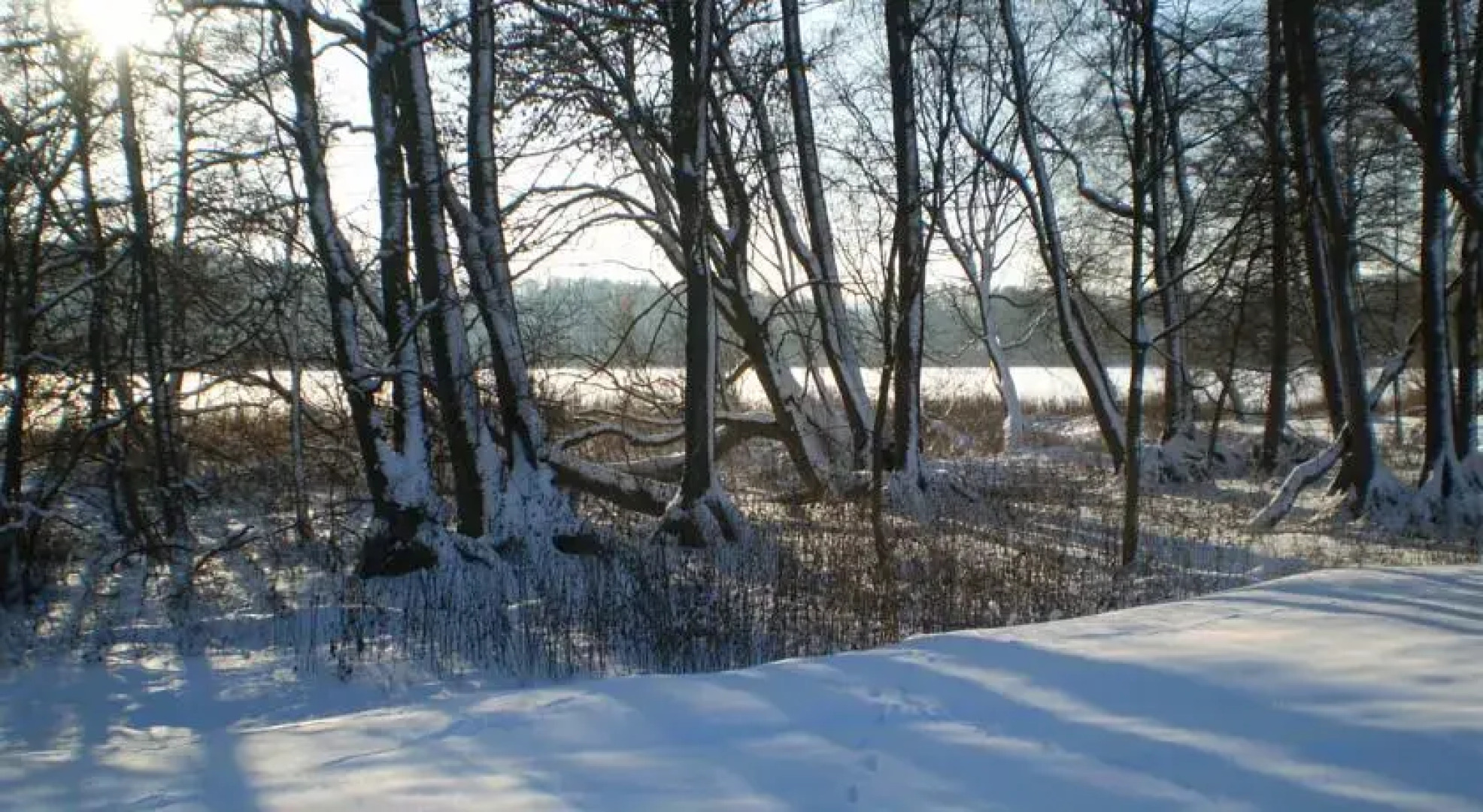 Romantisches Holzhaus