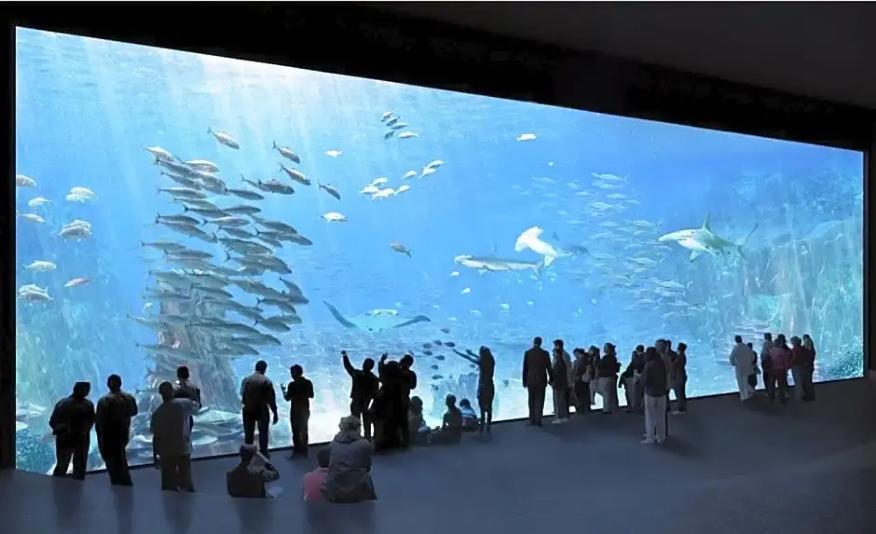 Auberge De Jeunesse Boulogne-Sur-Mer