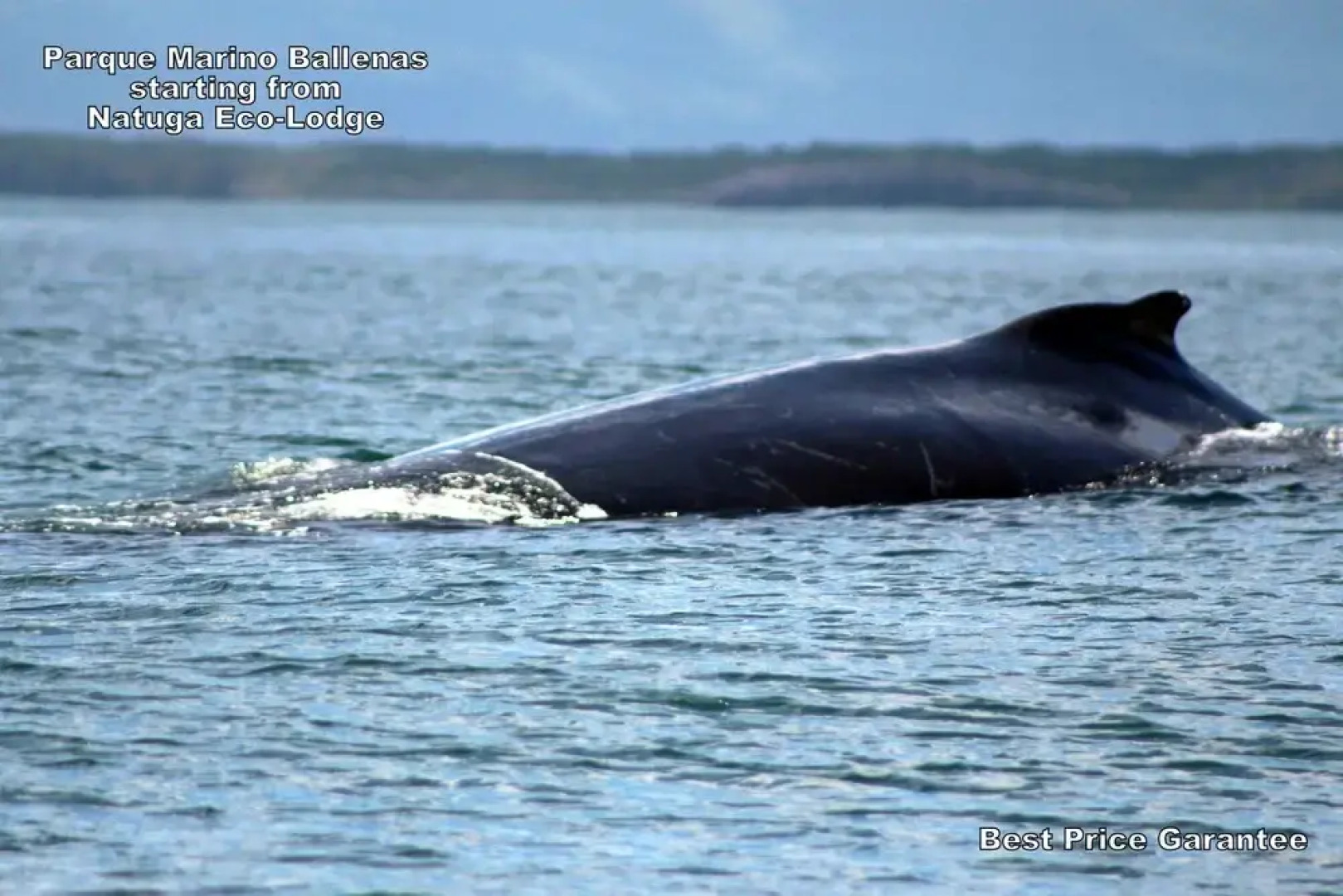 Natuga Ecolodge and Natural Reserve