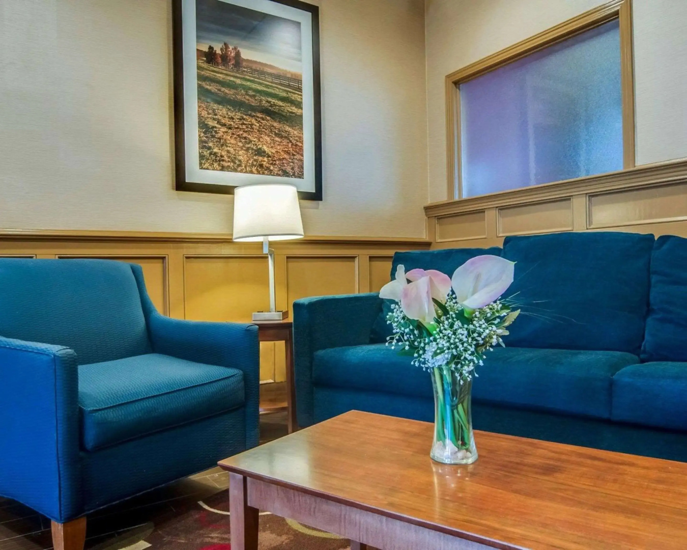 Comfort Inn & Suites Raphine - Lexington near I-81 and I-64