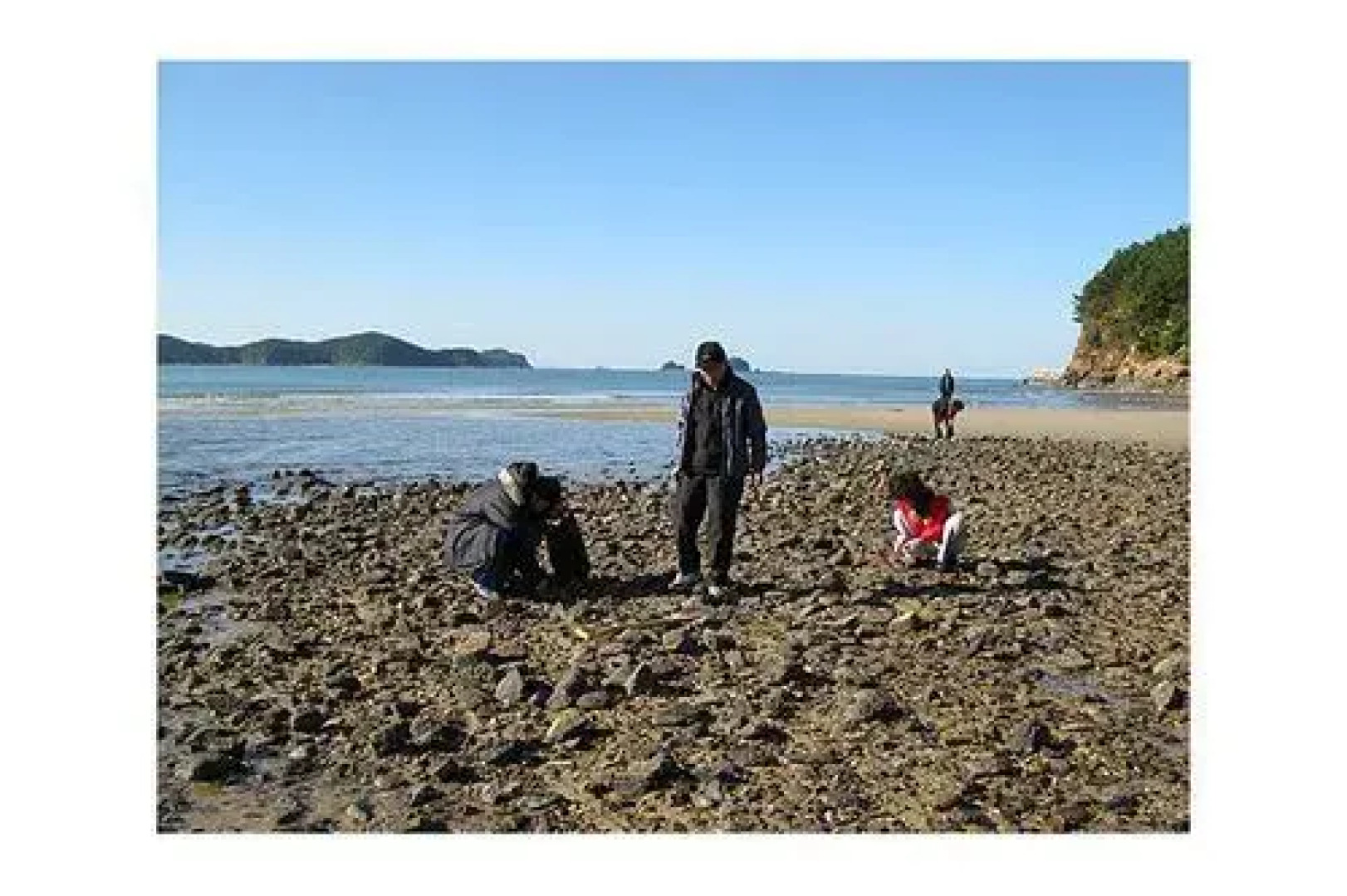 Anmyeondo Noblesse Palace Pension