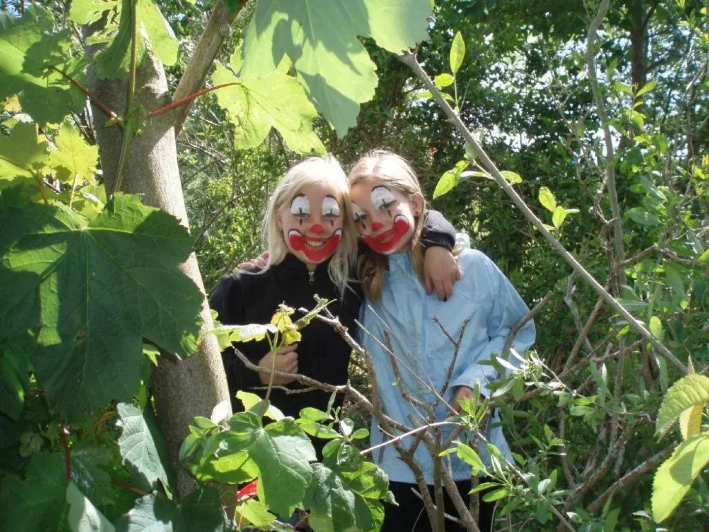 Fårup Sø Camping & Cottages