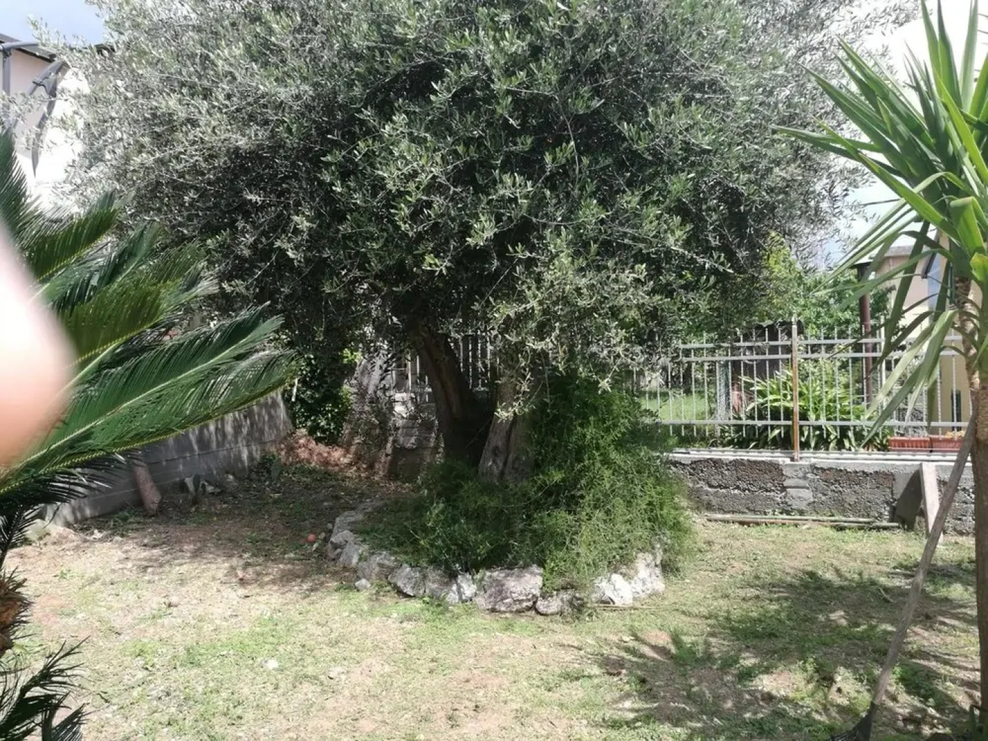 Bellavista