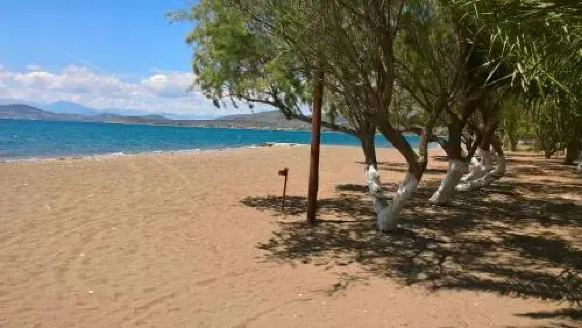 Posidon Bungalows