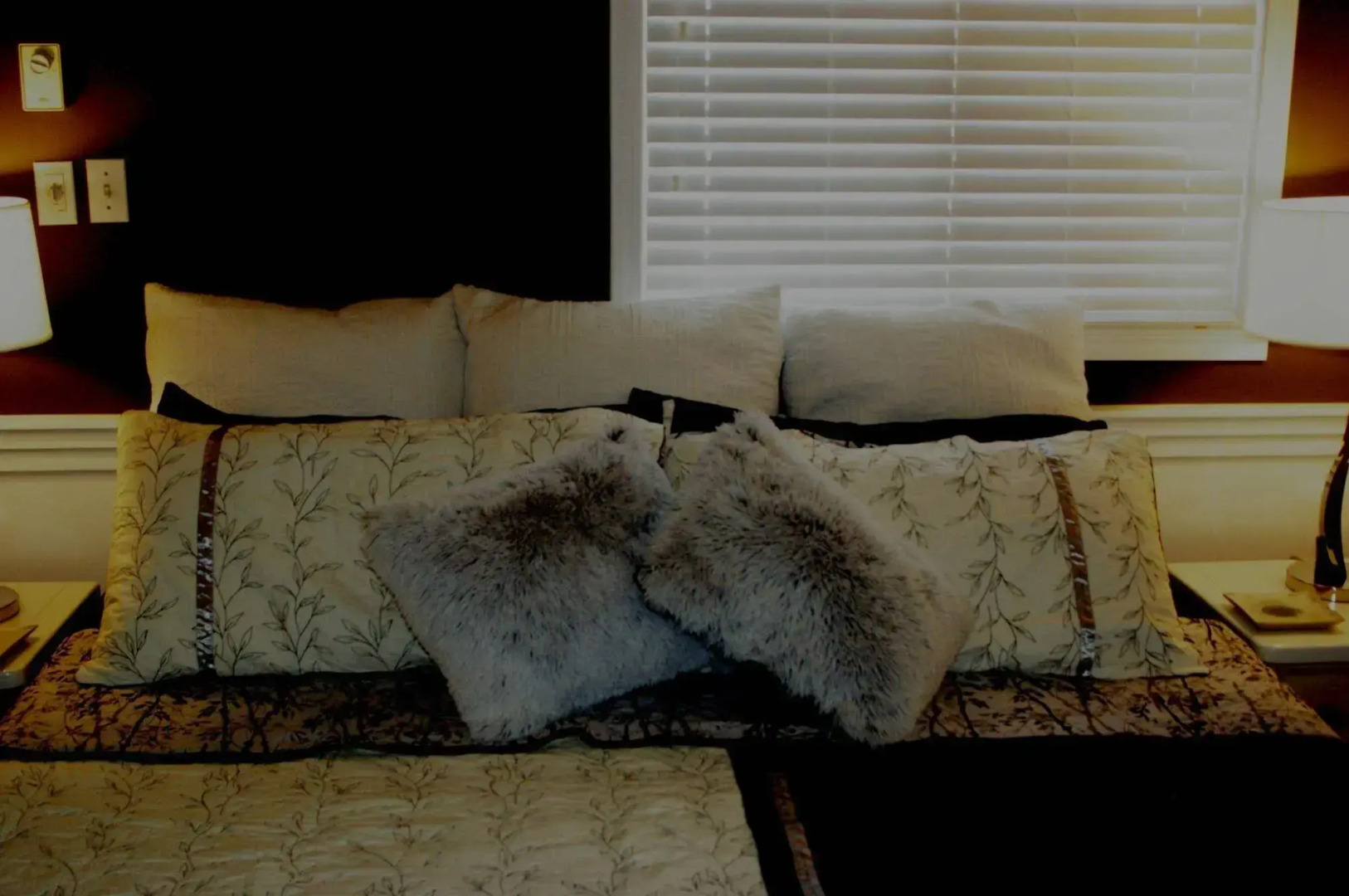 Shady Shores Beach Resort