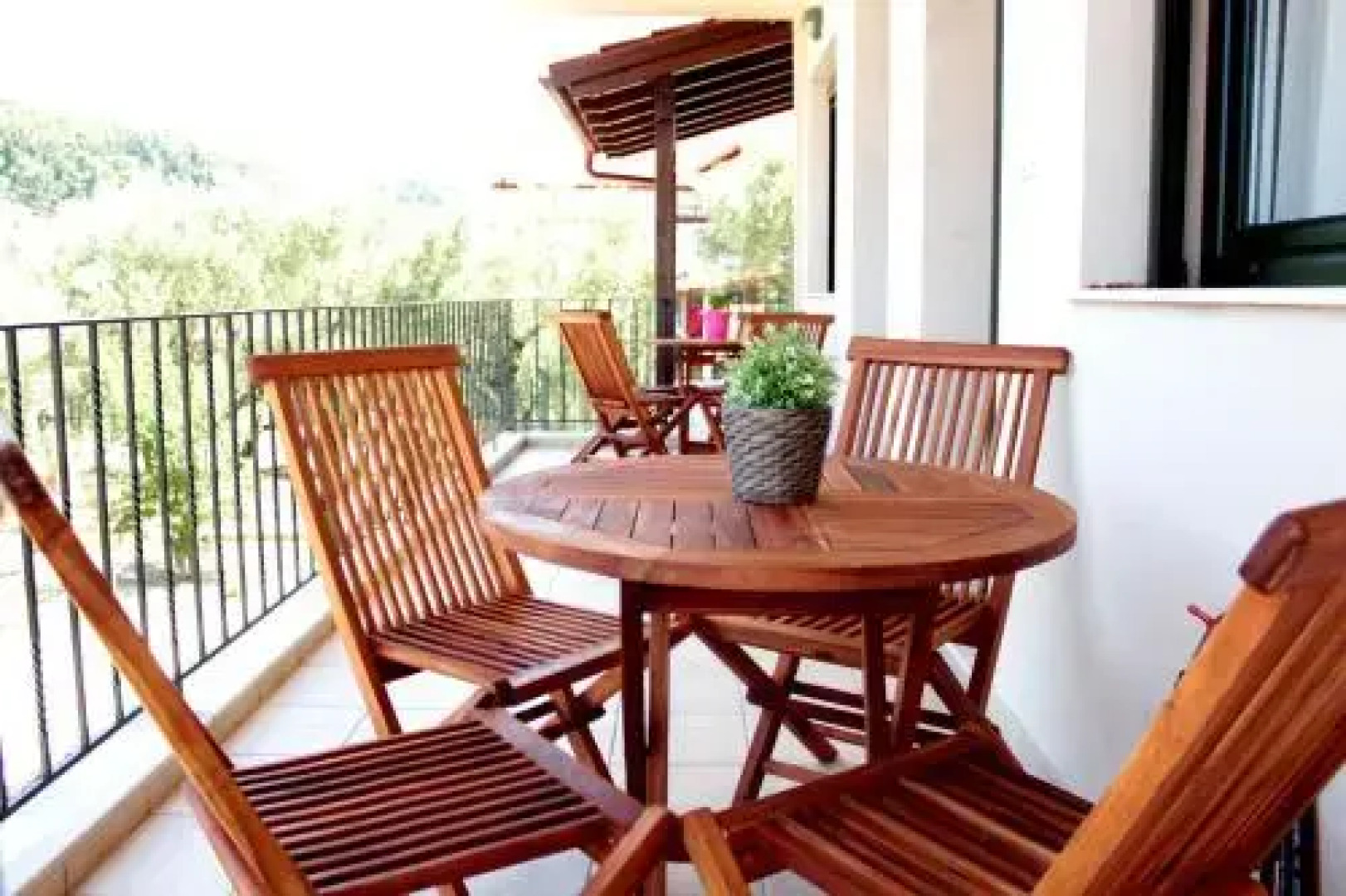 Olive Tree Apartments