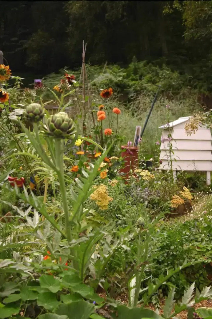 Thimbles Bed & Breakfast