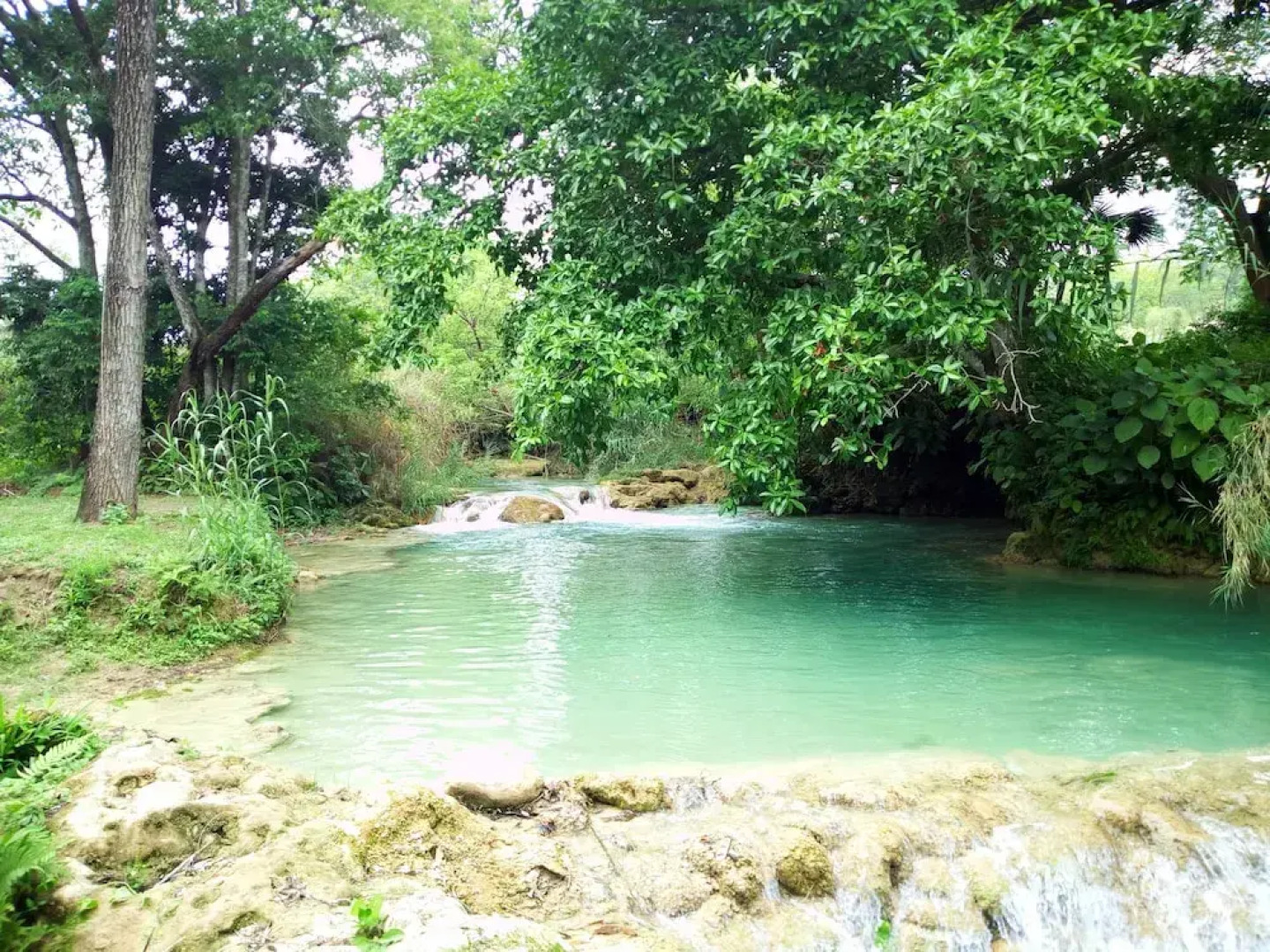 Room in Lodge - Sierraverde Cabin "cabaña el Cedro"
